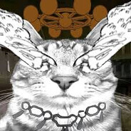 Кото-рагу