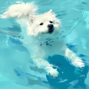 人帅枪烂水平差