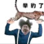 暴龙战神蔡徐坤