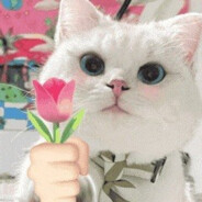 盐师最后の纯情郎