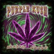 PurpleKush*