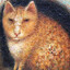 MEDIEVAL CAT