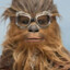 Chewbacca