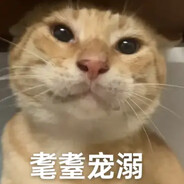 哈气大师圆头耄耋