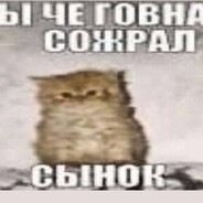данини кокус