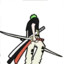 huangsir