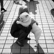 遗憾藏进晚风里