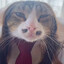 саша шляпик's avatar