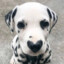 kiddoo