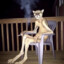 Pink Panther