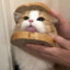 Komorebi