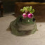 TurnipFrog