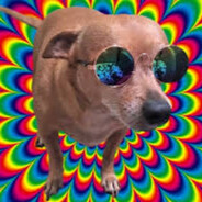 Aodog1