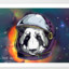 space.panda