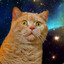 SpaceCat