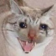 JoolaKarin®₁₃₃₇