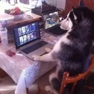 生产队 橘与朷^.^