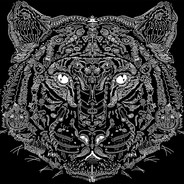 炸天帮徐缺#CSGO真箱