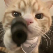 牢猫复活赛裁判