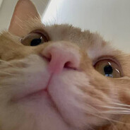 爆炸烫嘴地瓜丸