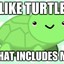 Iliketurtle