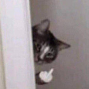 优雅的水晶男孩