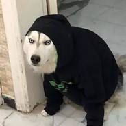 我觉得 不要你觉得