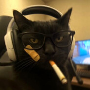☯Pedra_⓾.11シ avatar