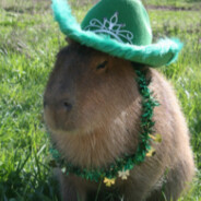 Capybara1345