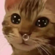 AA厨房灭火专家兔少