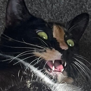 Kibbles