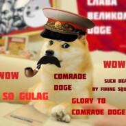 Comrade Doge