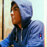 Potro
