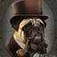 ✪Mr.Pug