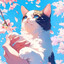 Темный Котик