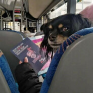 无限折叠倒钩王