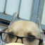 balão duplo da silva