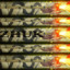 zhuk313