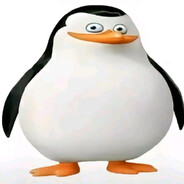 PINGU