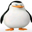 PINGU