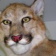 FraligaFrank - steam id 76561197968492341
