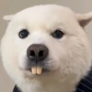 Best Chinese player OUNNUO