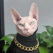 重庆清纯女大学生