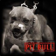 pitbully