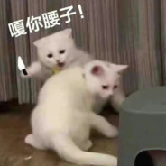 洛城飞雪春未至