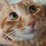 逛街怎么了 你敢追我就敢死