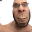 Transglo Saxon