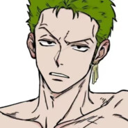 Lost Zoro