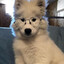 ヒンメルかわいい