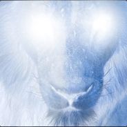 Novalion